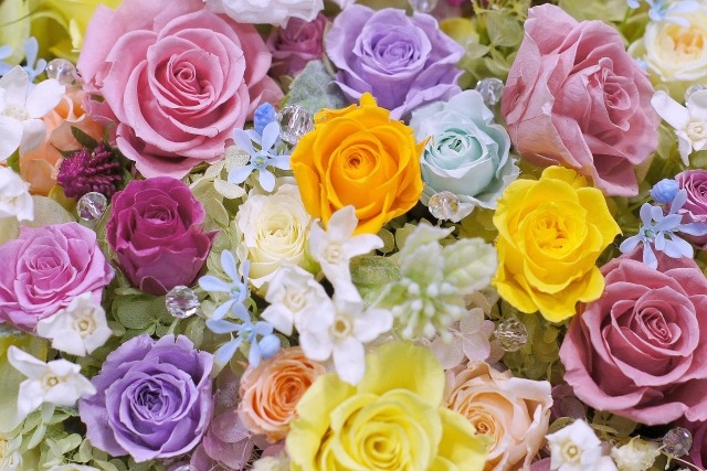 カラフルなプリザーブドフラワーの画像